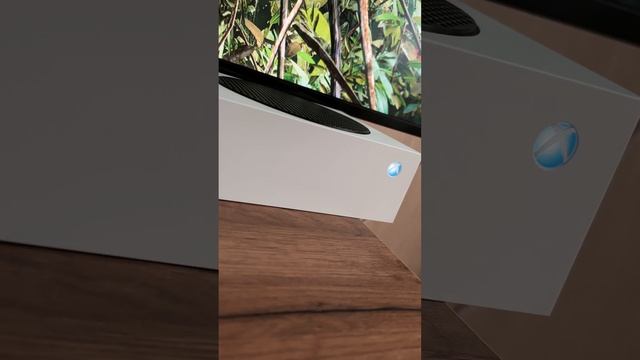 Xbox или PlayStation что выбрать в 2024 году