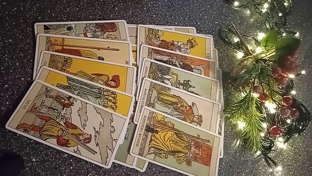 VID_20241230_180154.mp4