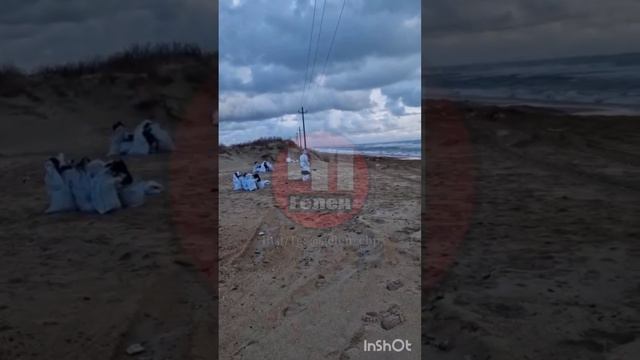трактор 6 , 7тр