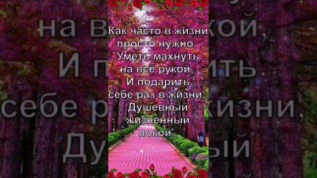 Video.Guru_20241229_194909452.mp4