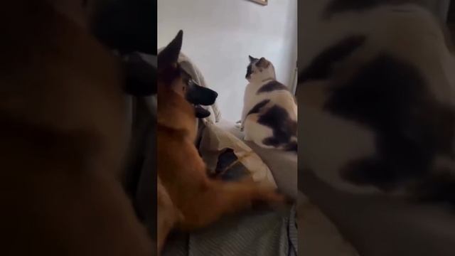 1000069785.mp4
