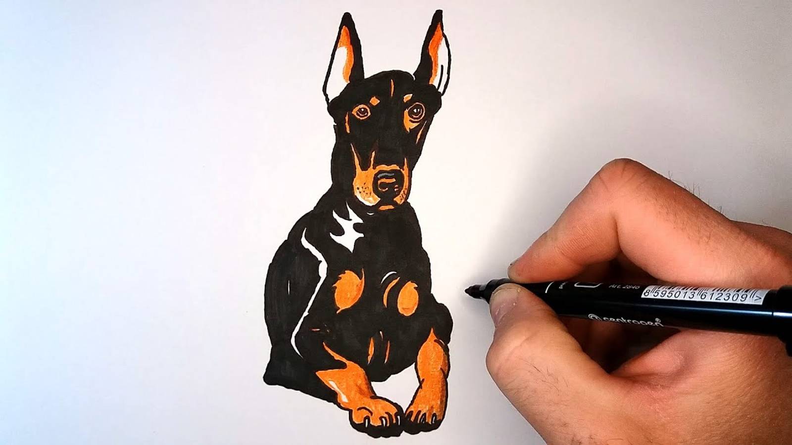 Как нарисовать Добермана
