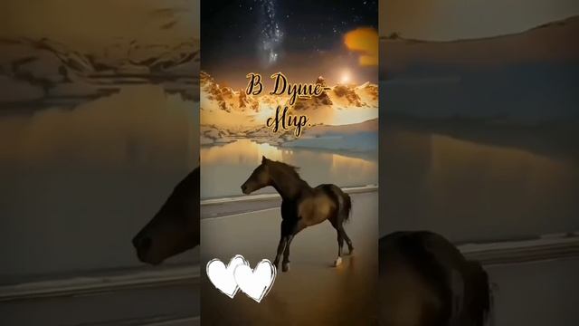 Глаза - зеркало души. Когда душа поет, весь мир прекрасен. Излучайте свет любви и добра. 💙