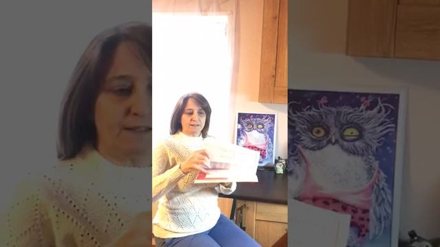 Это книга. Она большая и толстая. У неё много страниц. У книги мягкая обложка.