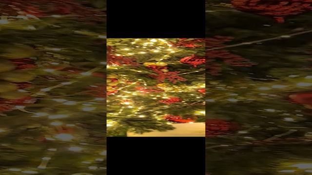 30-12-2024