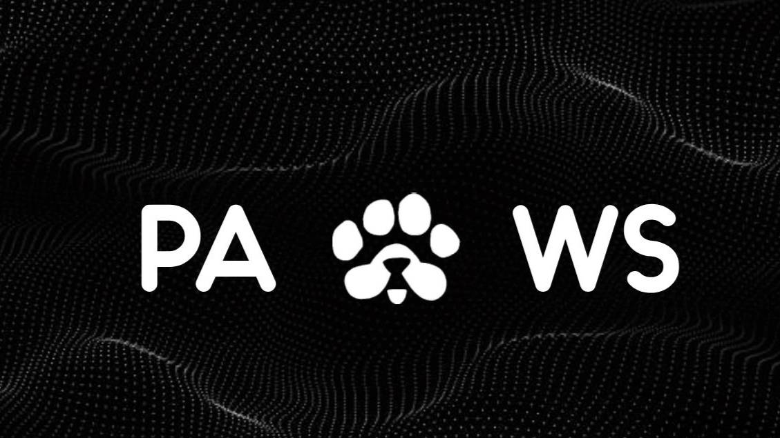 Снапшот PAWS!Когда листинг?Какая цена?Мое мнение