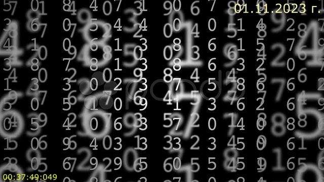 807 Числа 01.11.2023 г.