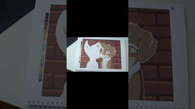 1000004216.mp4