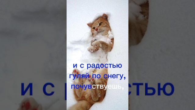Остановите суету.Стих.