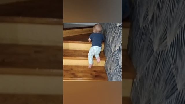 1000222055.mp4