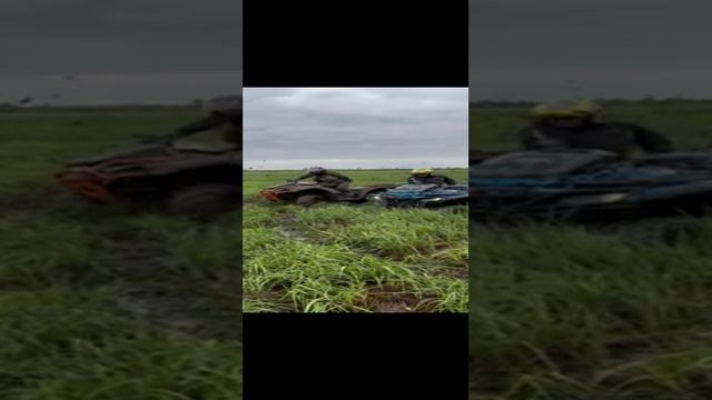 video-6b0121f629f352984c603b2cb50a671b-V.mp4