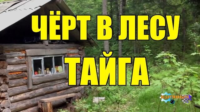 1010 - ДЕМОН ВНУТРИ ИЗБЫ _ МЕДОВУХА _ ТАЙГА