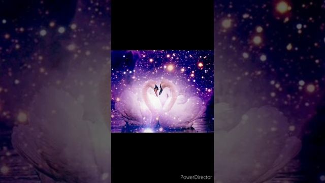 Два колечка-два сердечка ❤️