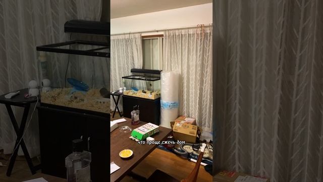 Японский дом ожидания / реальность