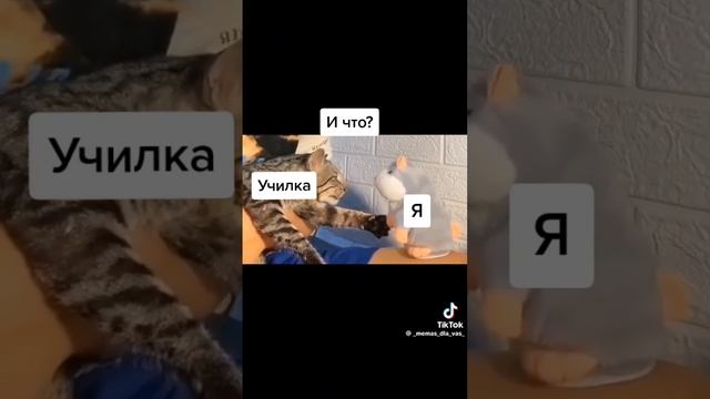 мем#2😂🤣🤣