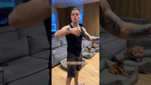 Вам стыдно за собаку,когда приходят гости? Прыгает на них? Лает? Невозможно расслабиться? Исправим!