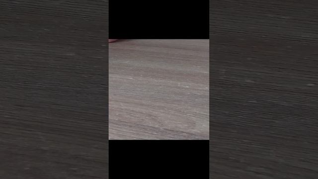 купания табо сквишей