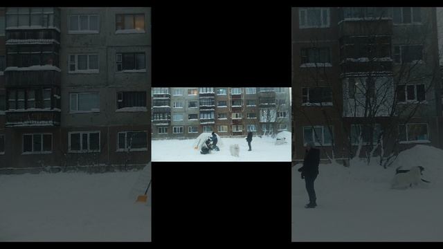 2024-12-30-171812524.mp4Елена Дружиненко Воркута