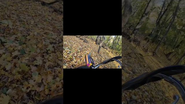О здорово #эндуро #шортс #сезонконтентаrutube #vkvideo #ktm #vlog