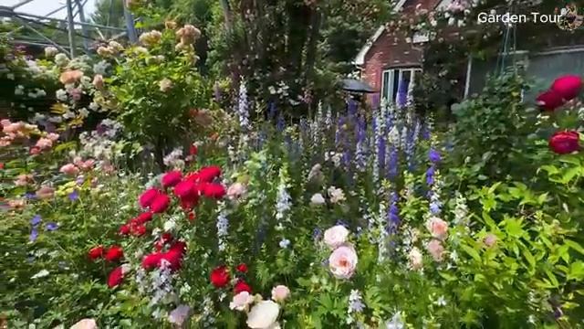 Small Space, Beautiful Garden_ Tips to Transform Your Backyard into a Peaceful Haven (360p).mp4