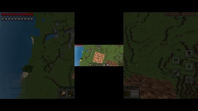 1000081257.mp4