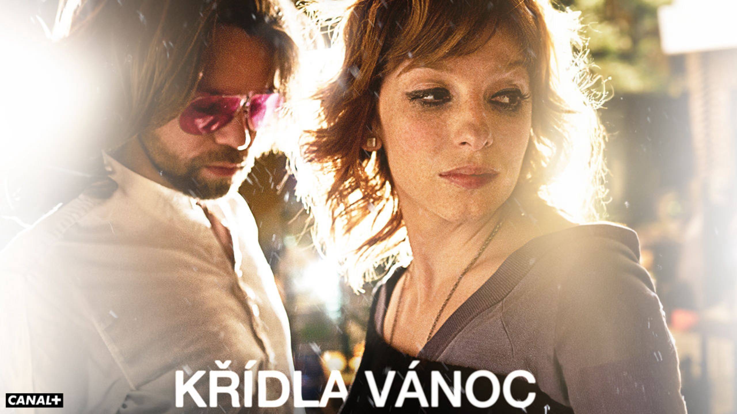Крылатое Рождество (2013) / Krídla Vánoc