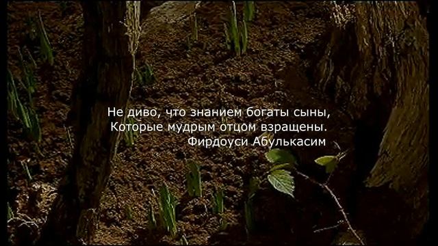 7 Афоризмов на тему воспитание