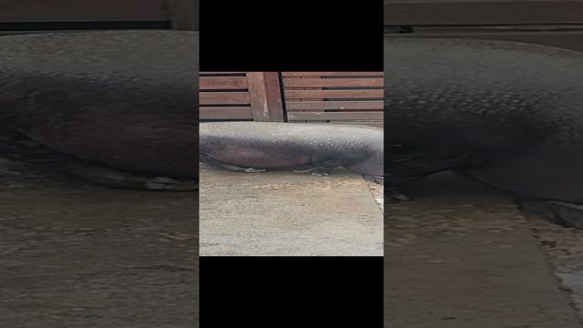 встретил на улице ч2