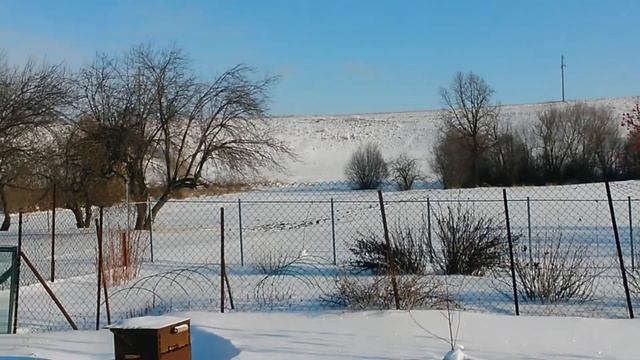 Альпы у меня за домом