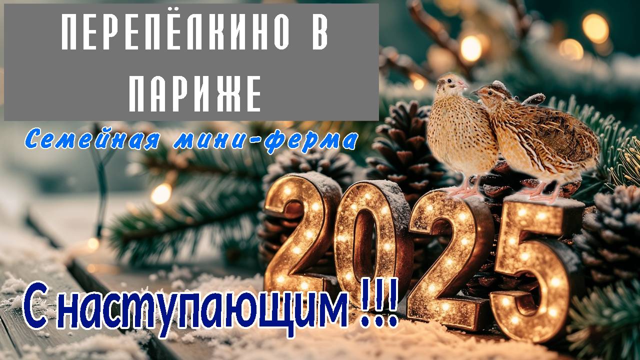 С НАСТУПАЮЩИМ 2025 ГОДОМ!