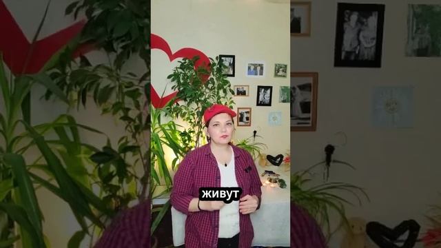 Нет денег - нет жизни