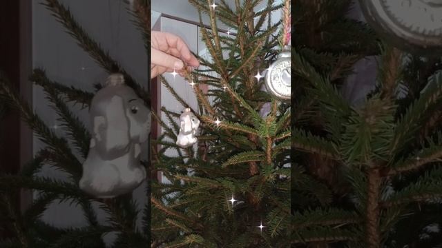 За ёлочкой!
