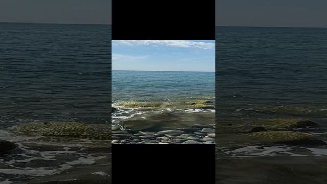 1000039915.mp4