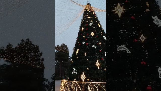 #Анапа #Елка