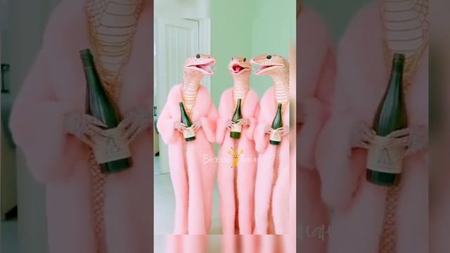 Змея- но моя