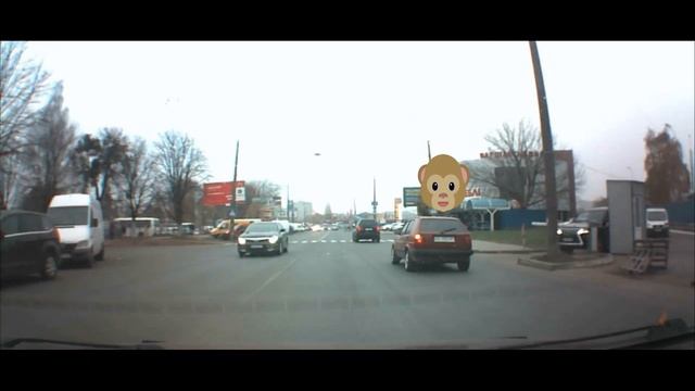GMO - Луцьк Конякіна