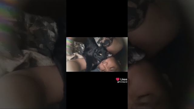 scene_output.mp4