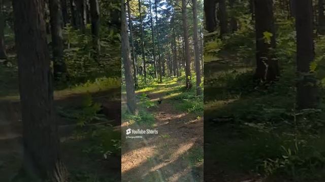 20 июня 2024 г. (2).mp4