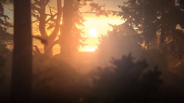 Life is strange [Music Video]