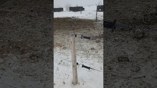 Установка ворот электропастуха в зимний период времени