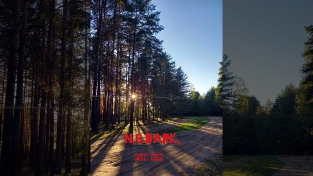 N.S.DARK._ F.S