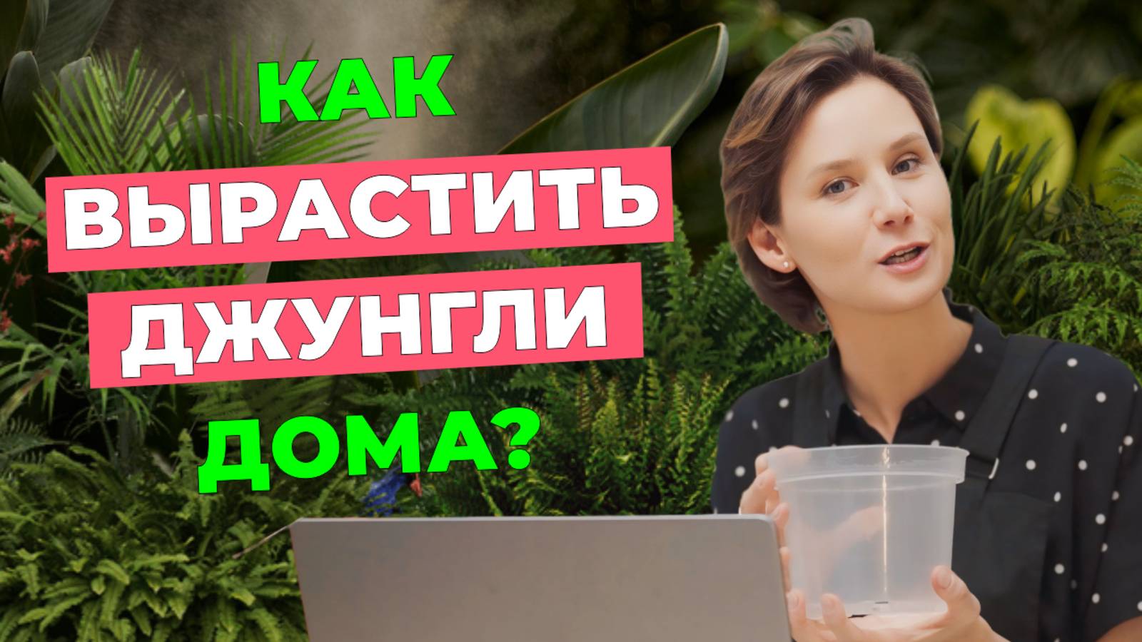 Как вырастить красивые и здоровые растения дома