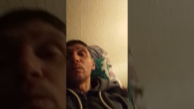 scene_output.mp4