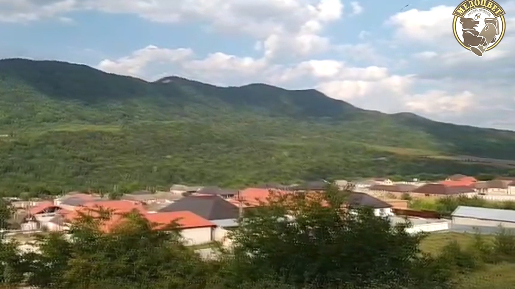 Целебный Мёд из Чеченской Республики