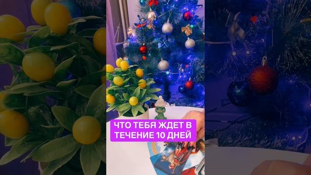 Что вас ждёт в течение 10 дней🎄❄🎄