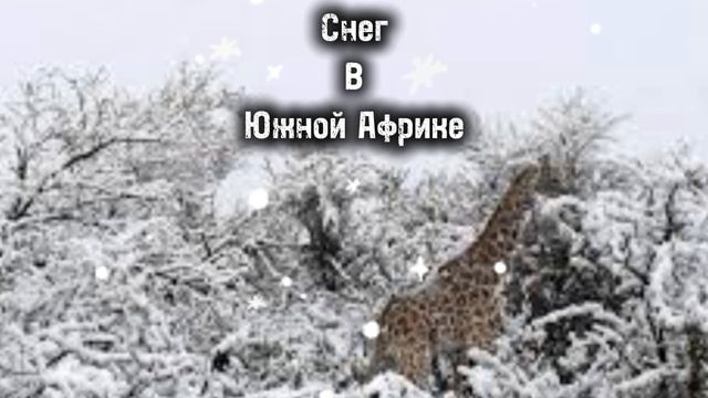Все что мы пережили.. (ну почти))
В ОПИСАНИЕ ЖИВОО!