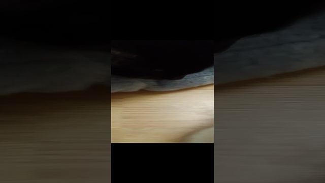 всех с наступающим новым годом 🥳🥳🥳🥳