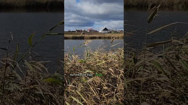 Как нас учили пить водку #психология #саморазвитие