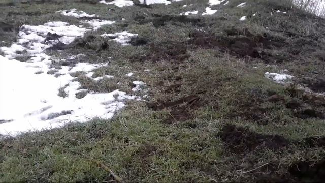 Накопал металла, но не хватило сил загрузить.