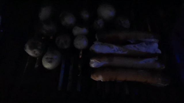 Video_20241231122432686_by_vimady.mp4